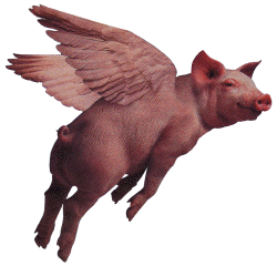 pig.png