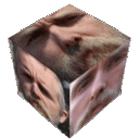 Varg.gif